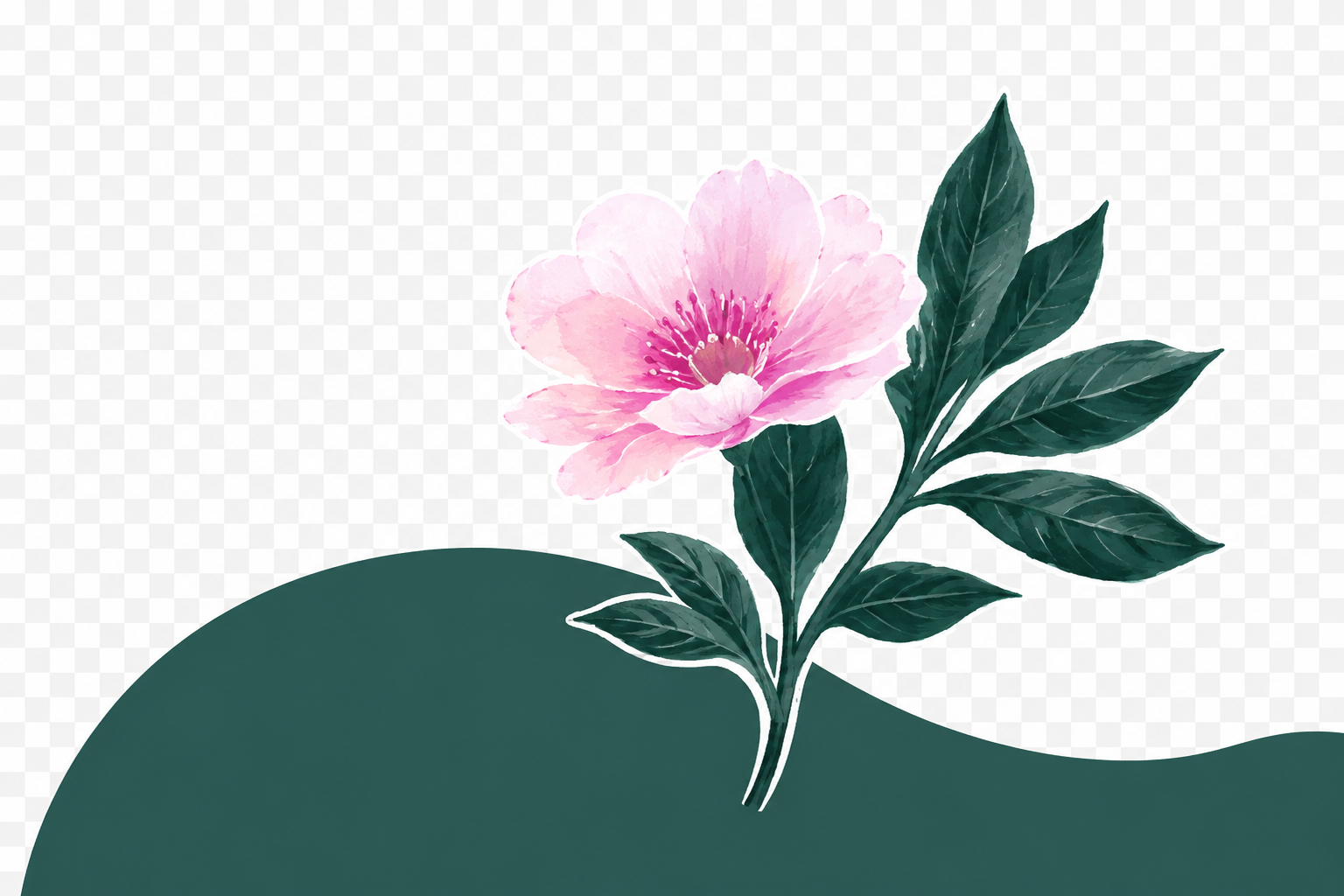 كتيب الإشارات المبكرة
